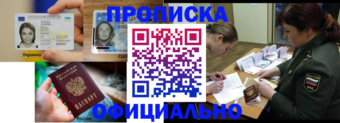 временная регистрация поиск в Камчатской области